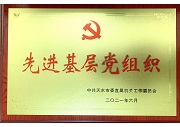 先进基层党组织